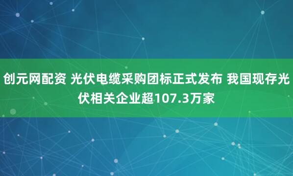 创元网配资 光伏电缆采购团标正式发布 我国现存光伏相关企业超107.3万家
