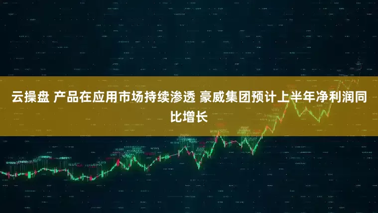 云操盘 产品在应用市场持续渗透 豪威集团预计上半年净利润同比增长
