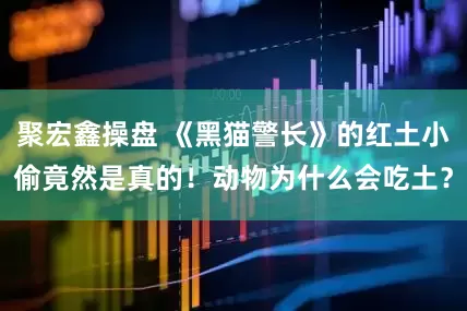 聚宏鑫操盘 《黑猫警长》的红土小偷竟然是真的！动物为什么会吃土？