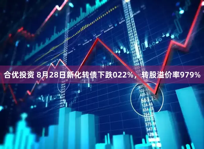 合优投资 8月28日新化转债下跌022%，转股溢价率979%